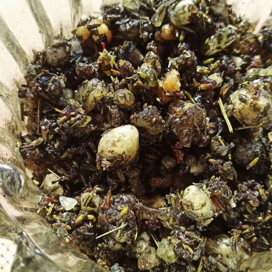 LOBAN MALAKI 50g – Image 3